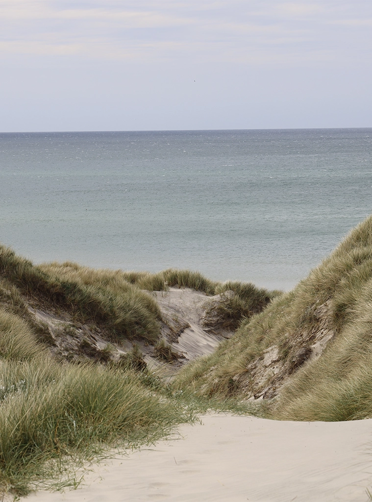 Constructeur local Maison Astone